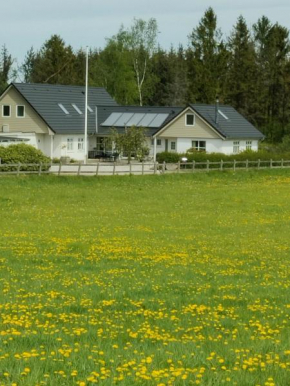 Hotels in Hammel